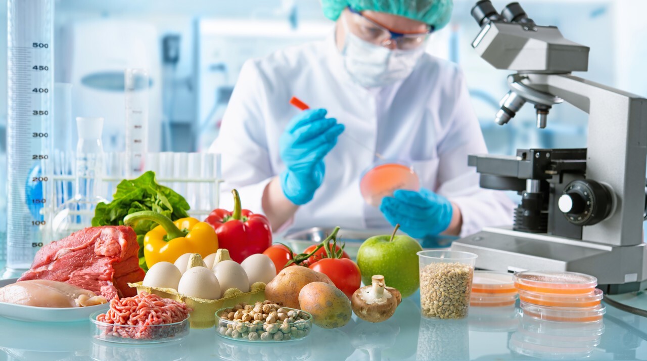 Sistema HACCP - Improving Systems